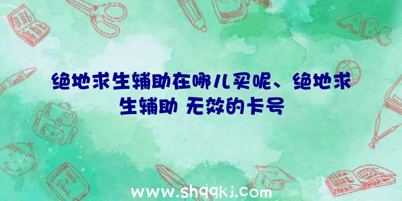 绝地求生辅助在哪儿买呢、绝地求生辅助